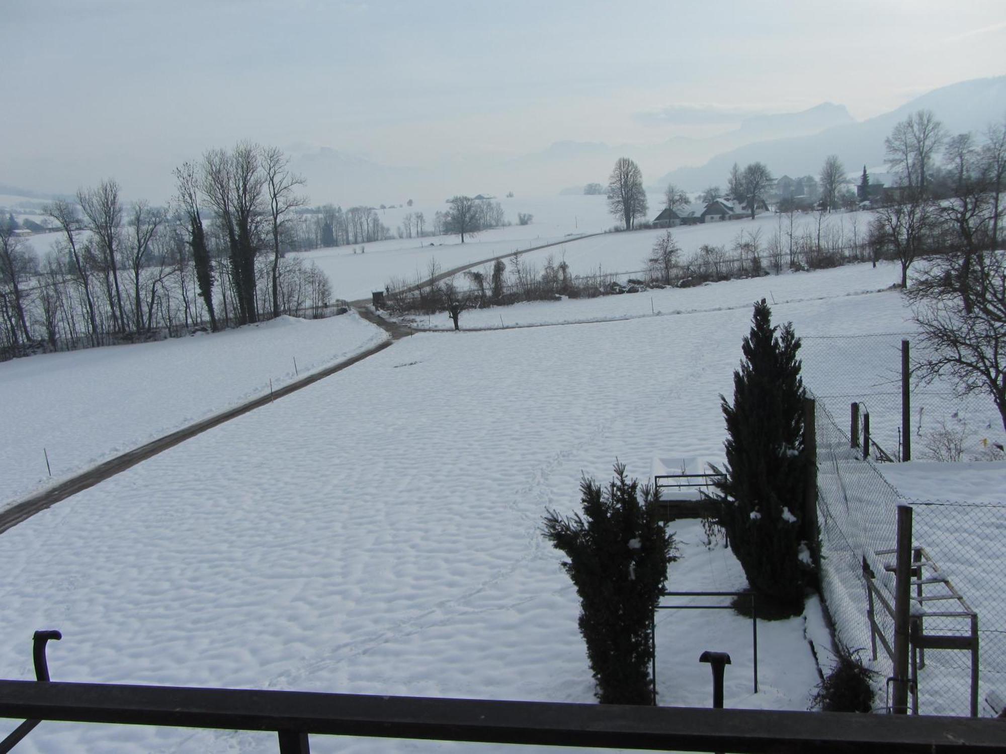 Bauernhof Schink Villa Zell am Moos Room photo