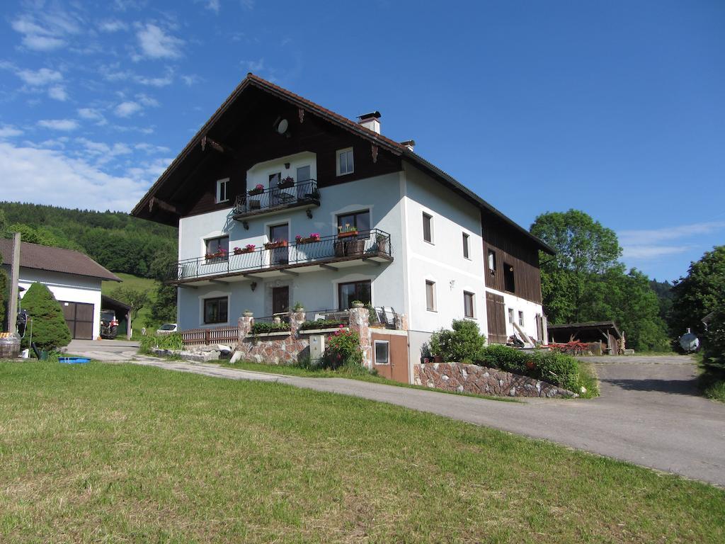Bauernhof Schink Villa Zell am Moos Exterior photo