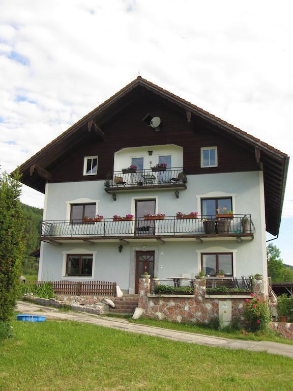 Bauernhof Schink Villa Zell am Moos Exterior photo