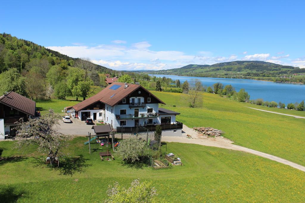 Bauernhof Schink Villa Zell am Moos Exterior photo